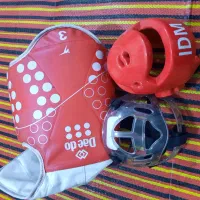 کلاه تکواندو و هوگو