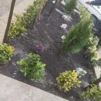 باغبانی  در سراسر شهر مشهد. با نازل  ترین قیمت