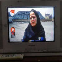 تلویزیون