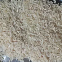 برنج طارم اصل