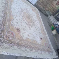 فرش ۱۲ متری نخ ۵۰۰ شانه