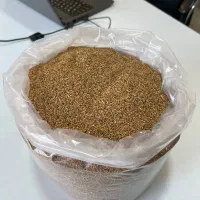 بذر یونجه پا بلند همدانی