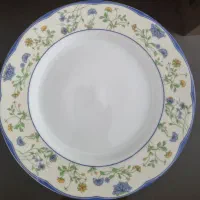 سرویس چینی، مناسب باغ  و ویلا