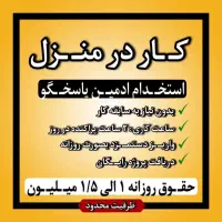 ادمینی / کار در منزل