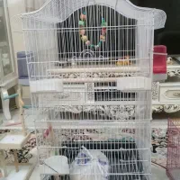 قفس بزرگ کاسکو و پارک بازی پرندگان