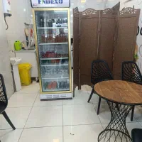 یخجال ایستاده
