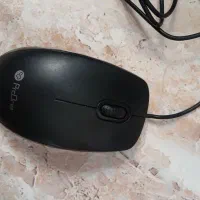 ماوس