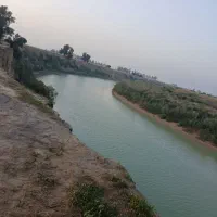 زمین کشاورزی ۱۰هکتار