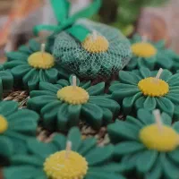 گیفت عید غدیر، قربان و اعیاد مختلف