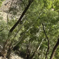 کارگاه 4000متری با سوله