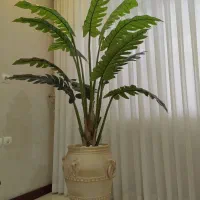درختچه|گل مصنوعی|گرگان, |دیوار