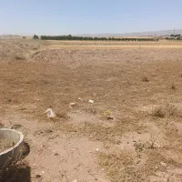 زمین جهت احداث باغ