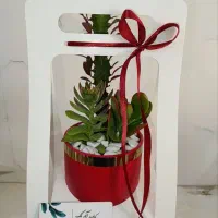 گل طبیعی.باکس گل کادویی