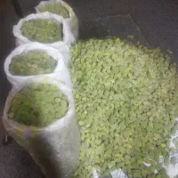بادام دو پوسته تازه