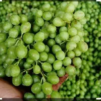 غوره ابدارو خوشمزه
