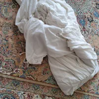 پشه بند
