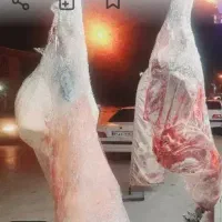 گوشت گوسفندی تازه موجوده