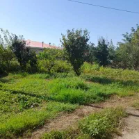 فروش-زمین-واقع-در-نوخاله