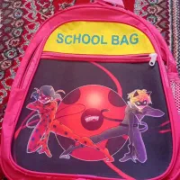 کوله پشتی دخترانه / و ۹ عدد دفتر