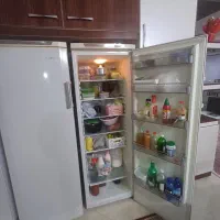 یخچال دوقلوی هاوس الکتریک سالم
