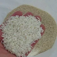 برنج