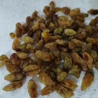 کشمش سایه خشک