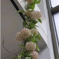 فراغت