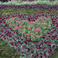 استخدام کارگر فضای سبز