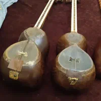 دو عدد تار کلکسیونی دارم بدونه مهر