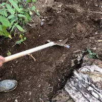 کودحیوانی/چرم/کودمرغوب/برای گل کاری واستخر