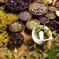 همکار برای کلینیک گیاهان دارویی (عطاری)