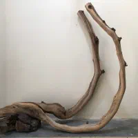 تزیینات اکواریوم سنگ چوب شن