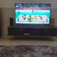 تلوزیون