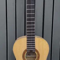 گیتار وفایی mv4