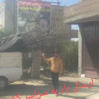 نهال روگرون نخر آزمن تولید کننده بخر،