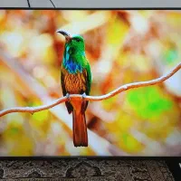 ال ای دی ۵۰ اینج هوشمند فورکی اسنوا درحد آک