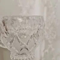 فنجان انجلیکا جی سی سی