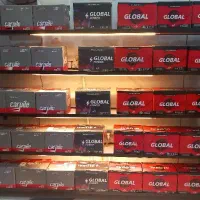 استاد کار حرفه ای برای نمایندگی باطری و باطری سازی