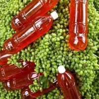 آبلیمو. آبغوره