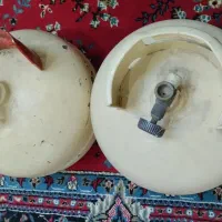 دوعدد پیکنیک سالم