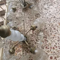 دوعد لوستر سالم