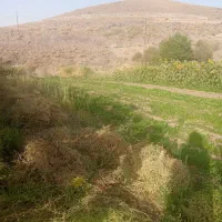 زمین فروشی سربیژن