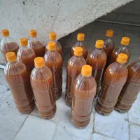 آبغوره کاشمر
