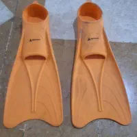 فین شنا
