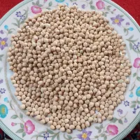 حبوبات