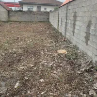 خدمات علف زنی.چمن زن در تولم شهر بازار جمعه فومن