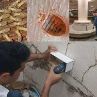 سمپاشی/کل خوزستان/سم پاشی/موریانه زدایی تضمینی