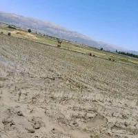 ملک-تجاری
