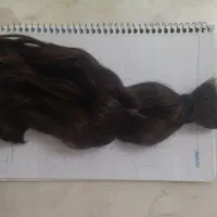 مو طبیعی