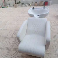 سرشورسالنی